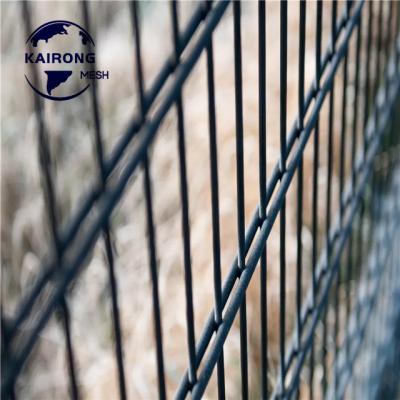 China Wholesale Price Easily Assembled Durable Powder Coated Welded Metal Double Wire Mesh for sale