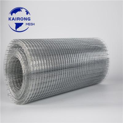 China Construction Wire Mesh Hot Sale 1m x 30m Galvanized Hardware Cloth Iron Welded Wire Mesh Roll For Chicken for sale