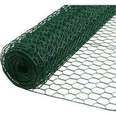 China Building Wire Mesh Factory Direct Supply Double Twist Plastic/PVC Coated Hexagonal Wire Mesh Netting for sale