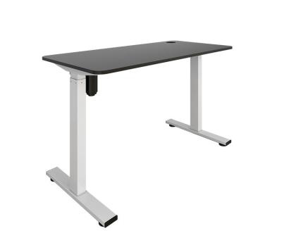 China Logo Trip 450mm Adjustable Legs Electric Lift Table Custom Standing Desk Motorized Height-Adjustable Desk for sale