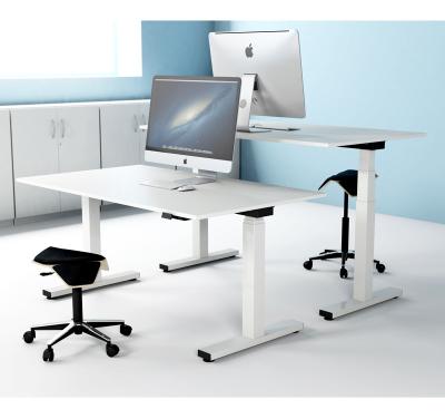 China (Size) 2022 New Design Customization Electric Height Adjustable Motor 2 Adjustable Leg Standing Desk Double for sale