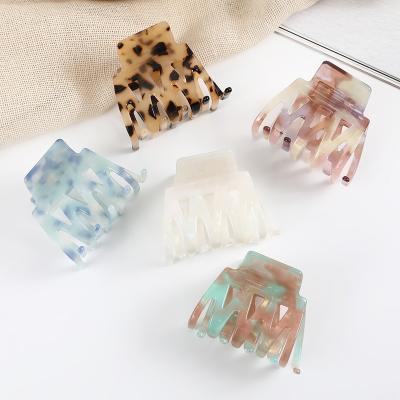 China Biodegradable Ladies Hair Decoration Huge Leopard Daisy Hair Claw Korean Acetate Hair Claw Set Large for sale