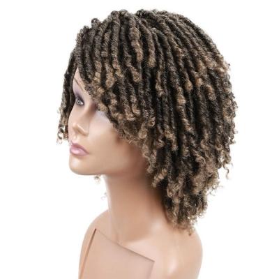 China High Quality Synthetic Hair Product Selling Synthetic Wigs Afro Curly Braided Wigs For Black Women Men Wigs Hair for sale