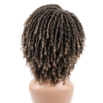 China 2022 New Design Heat Resistant Synthetic Hair Wigs Women's Hair Dreadlock Wig For Theme Party for sale