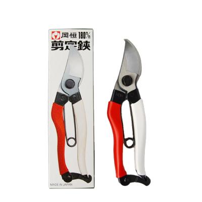 China Quality Pruning Guaranteed Unique Gardening Shears Long Flower Shears Multi Purpose Shear for sale