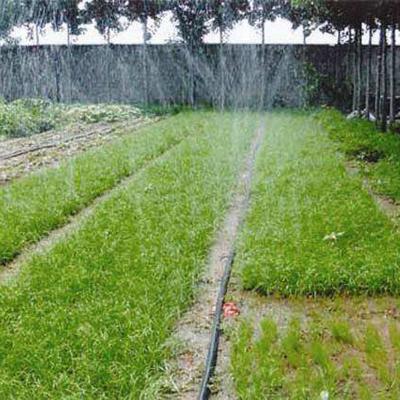 China Agriculture Irrigation Water Agriculture Drip Irrigation Mist Water Sprinkler System For Orchard for sale