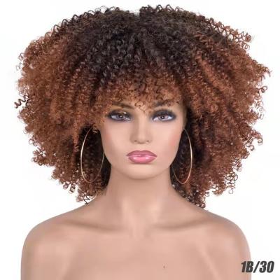 China European and American Black Women's Curly Small Curly Chemical Fiber Hair African Explosive Main Wig for sale