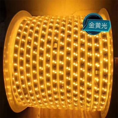 China Modern 5M 300 White Led Strip Light DC12V / Warm Cold White Ribbon Light Strips Brighter for sale