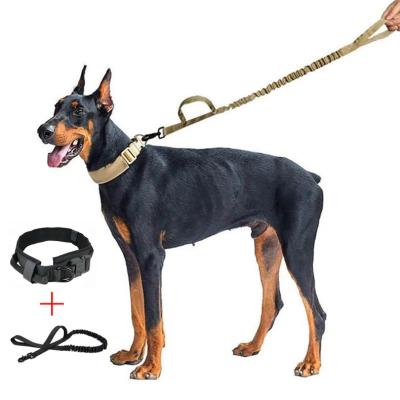 China Popular Durable Nylon Running Dog Leash Metal D-Ring Retractable Dog Collar and Leash Set for sale