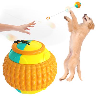 China Viable Pet Supplies Popular Molar Bite Resistant Player Training Dog Toy Throwing Ball for sale