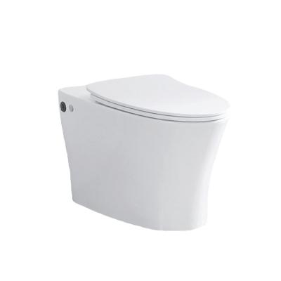 China Double-Flow Modern Design Hotel And Household Ceramic One Piece Toilet for sale