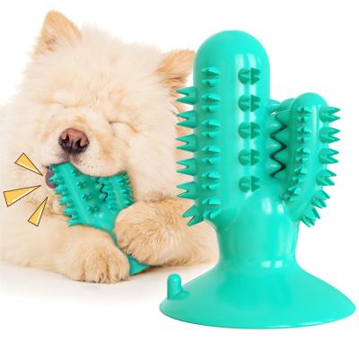 China Amazon 2021 Viable Hot Sale Dog Toothbrush Pet Toy Dog Chew Toy Cactus Shaped Set for sale