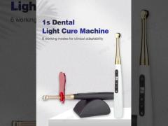Dental Accessories