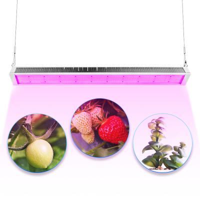 China Seed Starting Greenhouse Led Grow Light Full Spectrum 240w 480w Led Grow Light Full Spectrum Plant Light for sale