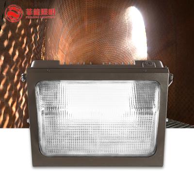 China Modern Outdoor Lighting Fixtures Led Ip65 Surface Mount Garden Wall Light 50w 100w Outdoor Wall Mounted Landscape Light for sale