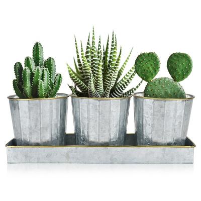 China Modern Galvanized Set of Metal Garden Flower Pots and Planters Plant Pots, Succulents with Tray and Drain Holes for Indoor Outdoor for sale