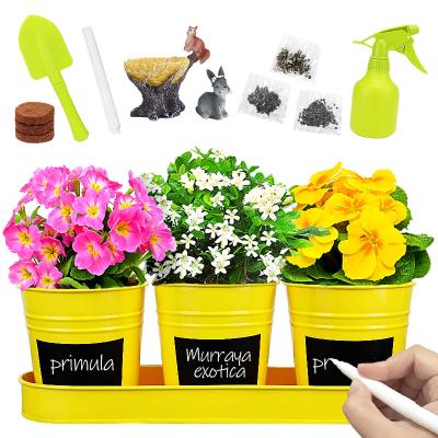 China CLASSIC Kids Paint and Plant Horticulture Kit Gardening Set Best Gift for Raising Your Garden DIY Kit Fairy Arts and Crafts Educational Toy for sale