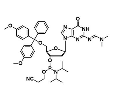 Chine Synthèse de l'ARN et de l'ADN Phosphoramidite 5g/bouteille A G C T Phosphoramidites à vendre