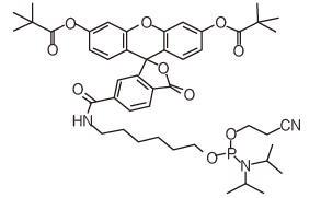 China Lab Synthesis Phosphoramidite And CPG Fluorescent Dyes CE Phosphoramidites for sale