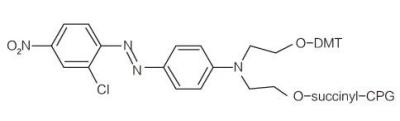 China Eclipse Labeling Modifier Oligonucleotide Synthesis Molecular for sale