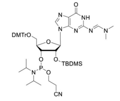 China Laboratory Oligo Synthesis Phosphoramidite And CPG Raw Materials for sale