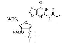 China DNA RNA Phosphoramidite Oligonucleotide Synthesis Raw Materials For Synthesis Of Genes for sale