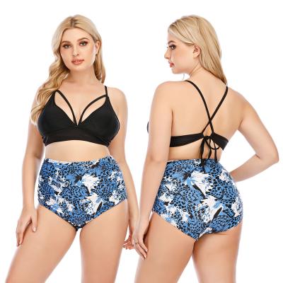 China Plus size plus size swimwear beachwear fancy string swimwear and two piece beachwear monki fancy swimsuit for sale