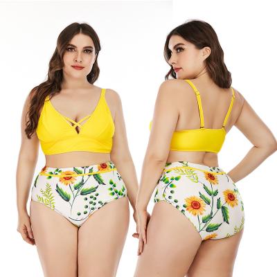 China Plus Size Plus Size Swimwear Two Piece Swimsuit Girl Bikini Beachwear Fancy Swimwear for sale