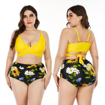 China Plus size summer love&roses xxxxl ever plus size swimwear bikinis for women for sale