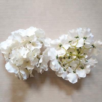 China Cheap Artificial Hydrangea Flower Heads Hydrangea Flower Heads for sale