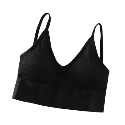 China Breathable Seamless Gym Womens High Stretch Sports Padded Top Removable Padded Bra for sale