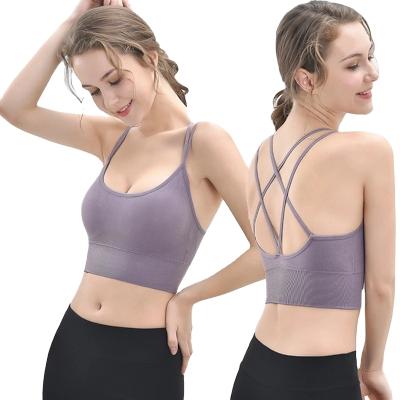 China New Arrival Fashion Gym Fitness Women Antibacterial Wireless Sports Bra High Strength Powerful Gym Yoga Bra for sale