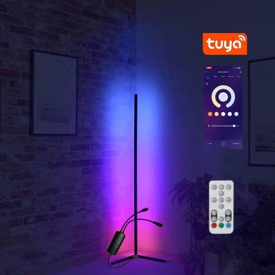 China Easy to Assemble and Detachable Adapter APP Music Sync AC100-240V LED Remote Control RGB+IC IP65 Corner Floor Lamp for sale