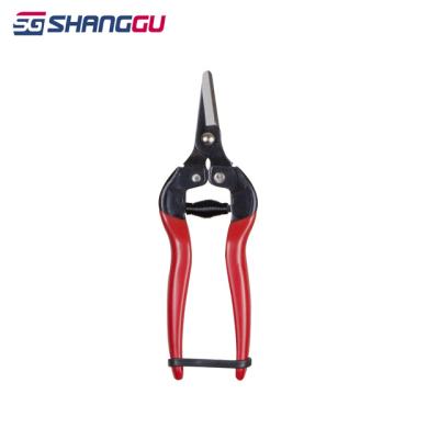 China Garden Plants Cutter Hand Pruner S508 Taiwan Hot Selling Shears PVC Floral Handles for sale