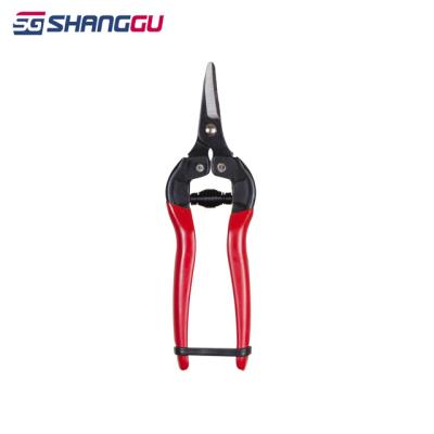 China Garden Pruning Tools Gardening Hand Pruner 6