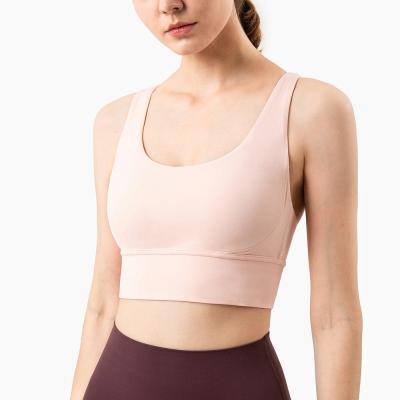 China New sexy large size breathable sports bra vest sportswear crop tops female shockproof sports bra for women for sale