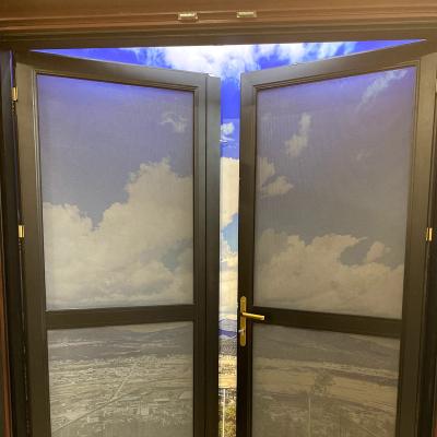 China Modern French Glaze Tempered Glass Insulation Glass Door Pine Insulation Aluminum Clad Wood Door for sale