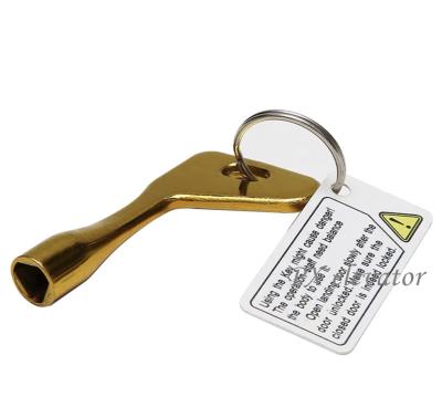 China Industrial Elevator Spare Parts Supplier General Elevator Elevator Triangle Key S200 Triangle Key Golden Key for sale