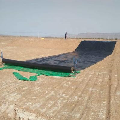 China Landfill Premium Quality With Cheap Price HDPE Geomembrane For Engineering Construction for sale