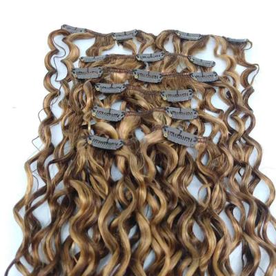 China Brazilian Virgin Remy Human Hair Water Wave Piano 4/27 Clip In Hair Extension for sale