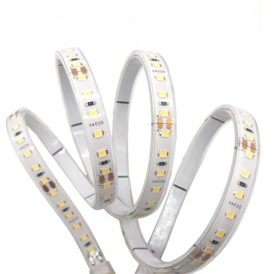 China Garden IP67 Silicone Extrusion Process Waterproof LED Strip Lights SMD 2835 600 LED Strip Light Outdoor Use 5M Per Roll 24VDC LED for sale