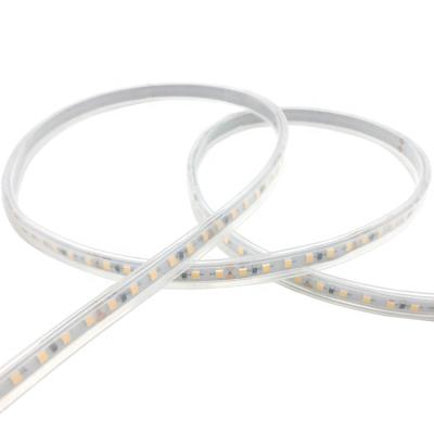 China Garden IP66 Silicone Tube Protected Waterproof LED Strip Lights SMD 2835 600 LED Strip Light 5M Per Roll 24VDC LED For Home for sale