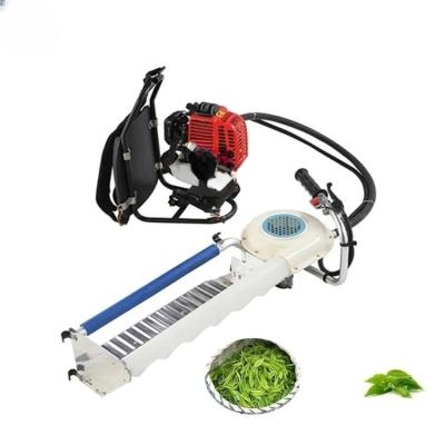 China Automatic Handheld Tea Leaf Tea Cutter Machine For Trimmer Hedge Trimmer Green Tea Plucking Portable Harvest Tools Brushed Machine for sale