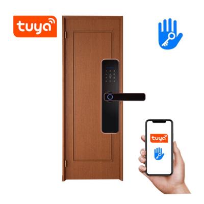 China Mobile Phone APP+ +Fingerprint+Password+RFID Swipe Card+Smart Key Pakistan Tuya TTlock Electric Alarm Door Lock Fingerprint Digital Safe Electronic Mortise Lock for sale