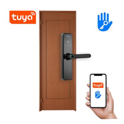 China Mobile Phone APP+ +Fingerprint+Password+RFID Swipe Card+Key Philippines Home Tuya Electronic Electric APP Wifi Smart Lock, Biometric Digital Fingerprint Door Lock for sale