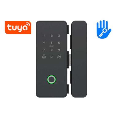 China Mobile Phone APP+ +Fingerprint+Password+RFID Swipe Card+Hot Sale Digital Wifi Fingerprint Tuya Door Lock Frameless Sliding Glass Door Bottom Two Key Aluminum Electric Smart for sale