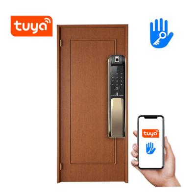 China Mobile Phone APP+ +Fingerprint+Password+RFID Swipe Card+Newest Digital Key Push Pull Lock Made in China Gold Color Double Key Lock Metal Smart Lock for the House for sale