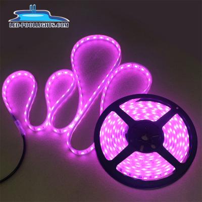 China Beautiful LANDSCAPE Look LED Strip Light Colorful Waterproof High Brightness SMD5050 60LED/M DC12V RGB Led Underwater Light for sale