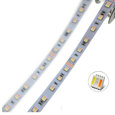 China Residential DC 12V 24V 5050 RGBCCT LED Strip 5 Color in 1 Chips RGB+WW+CW 60 LEDs/m RGBW LED Strip Light for sale