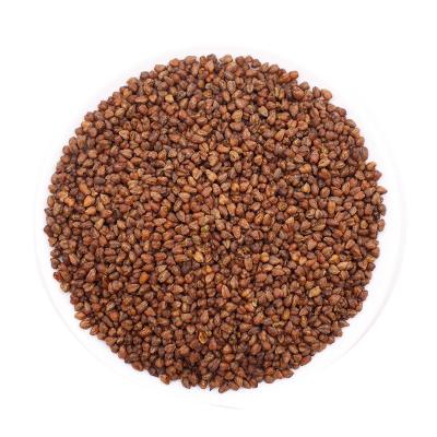 China Low Fat Buckwheat Tea Herbal Tea Tartary Wholesale Quality Bulk Goods for sale